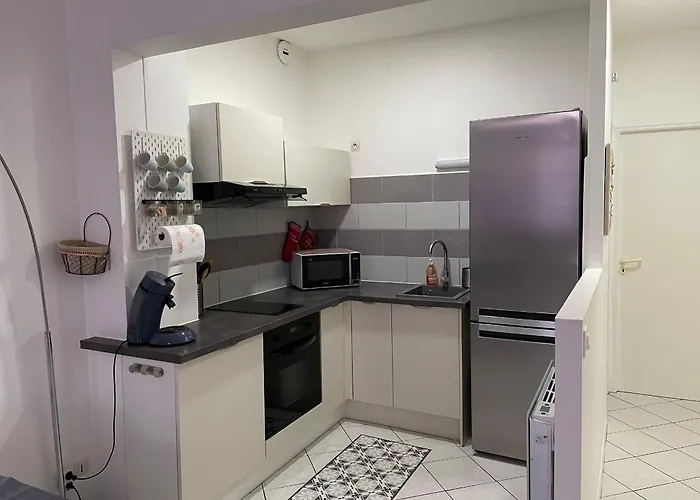 Break En Centre-ville, Proche Commodites Et Sites Naturels - Fr-1-585-77 Bar-le-Duc